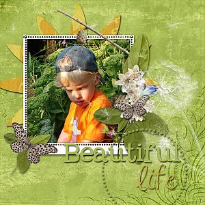 Beautiful life