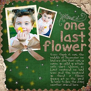 One Last Flower