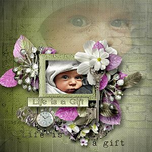 My gift of life