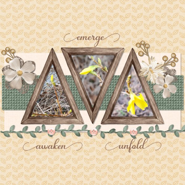 04_02 Single Line Of Focus