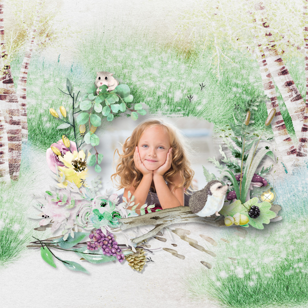 1-Forest jumps de falango-photo Pixabay de Gilmanshin-sortie 5 novem-3-corrigé.jpg