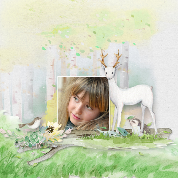 2-Forest jumps de falango-photo Pixabay de Pazibear-sortie 5 novem-corrig.jpg