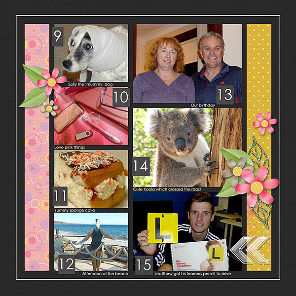 2014 - Week 15