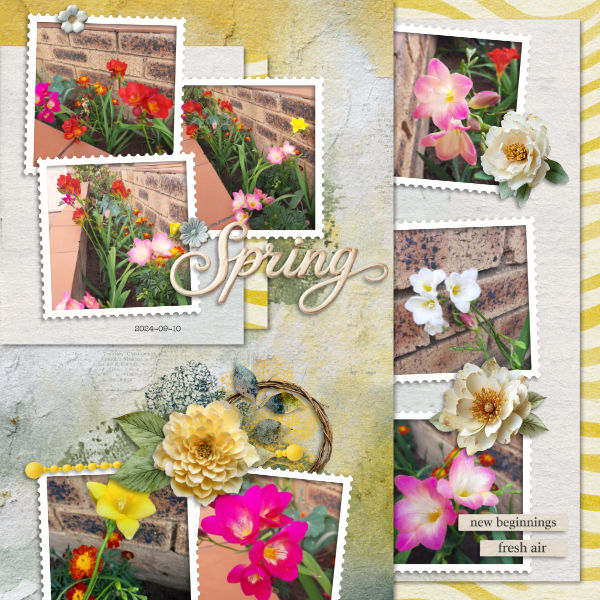 2024-09-10_Spring