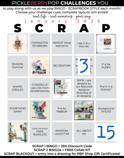 2025-01_pbp_scrapbook_bingo-cathy