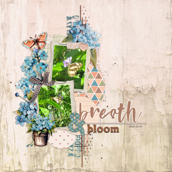 2025-03-07_Breath&Bloom