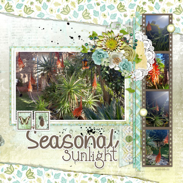 2025-05-22_SeasonalSunlight