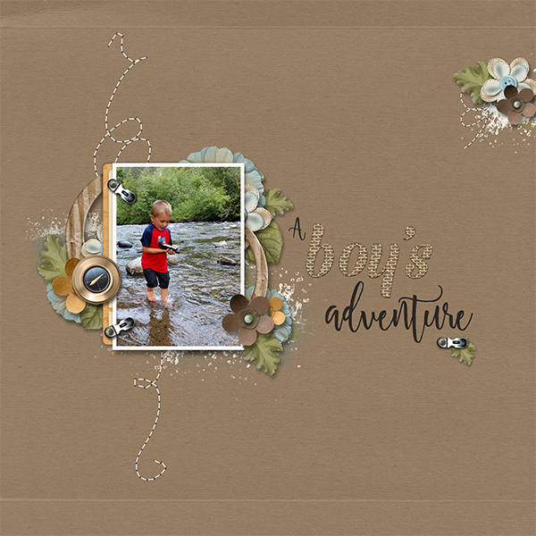 A Boy's Adventure