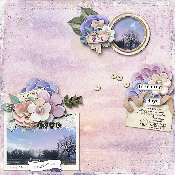 A Foggy February Sunrise