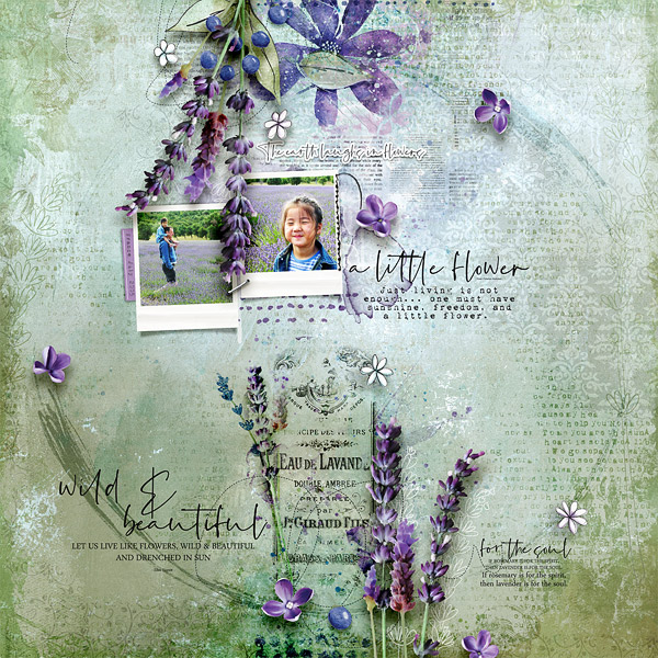 a little flower - Lavender and co