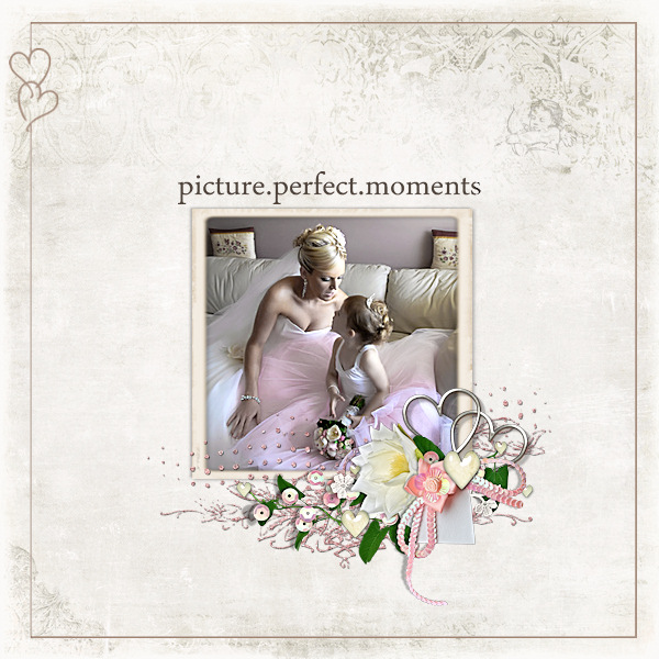 A Perfect Moment
