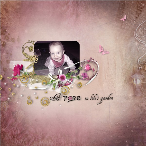 A rose in life's garden