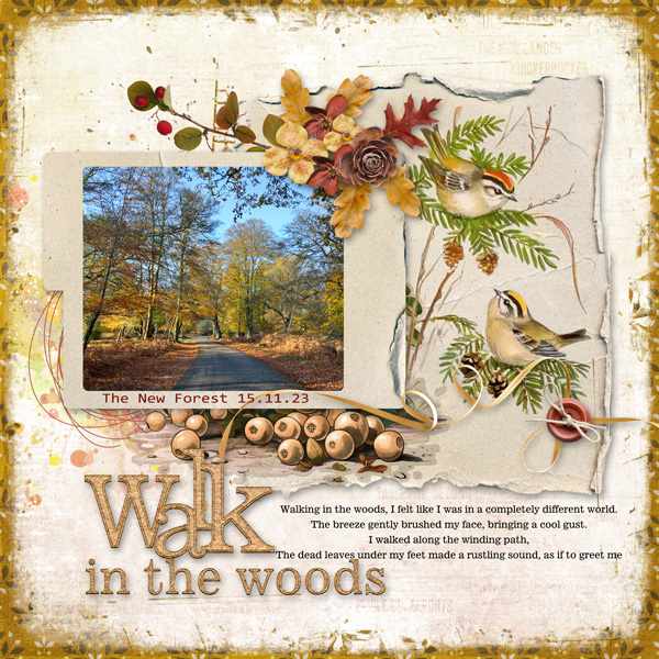 a-walk-in-the-woods-cw.jpg