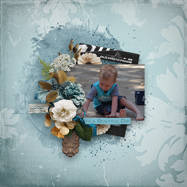 AOM DutchDreamDesigns 14-04.png