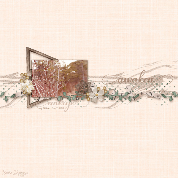 AOM26-04-02-Single line of focus challenge