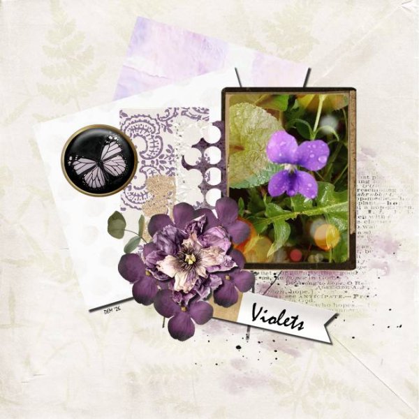 At No Cost Free Use It All