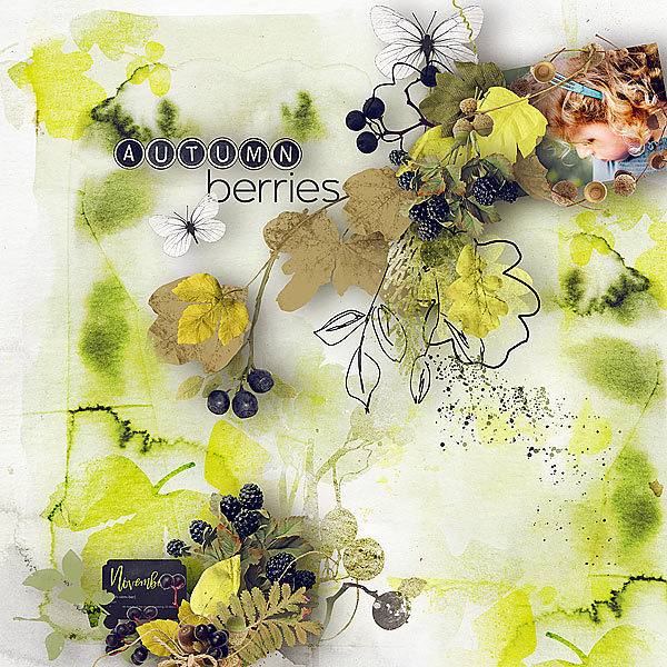 Autumn Berries by et designs