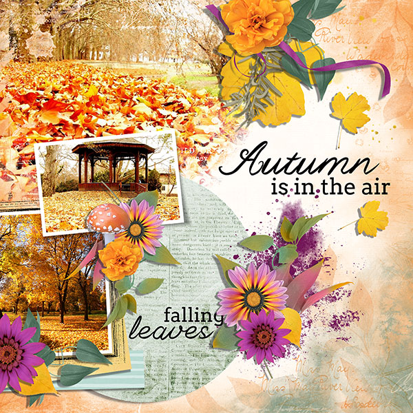 autumn is in the air