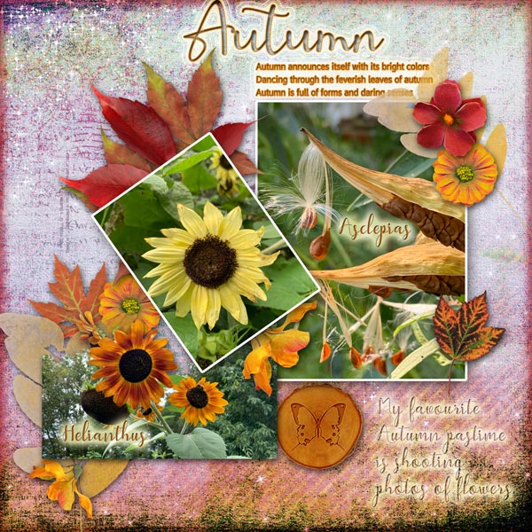 Autumn Photography