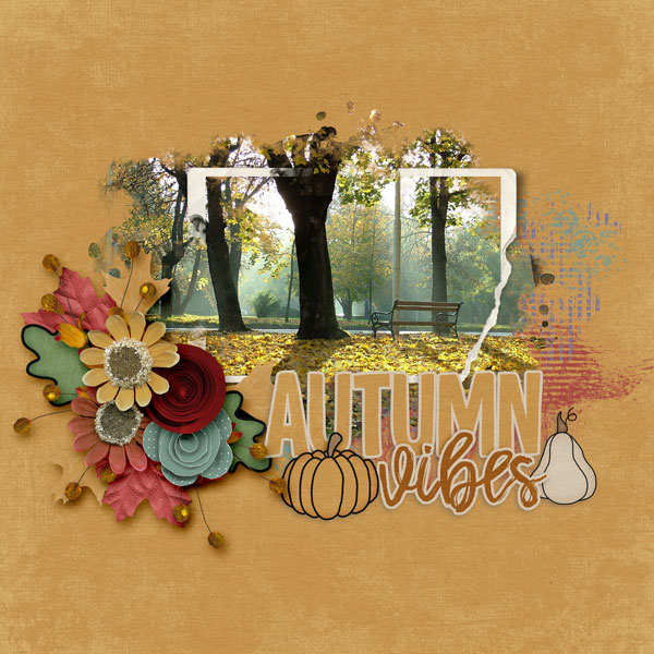 Autumn Vibes