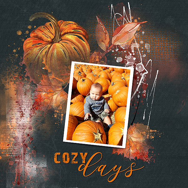 BE WarmDreams 2 Tirmisu copy.jpg