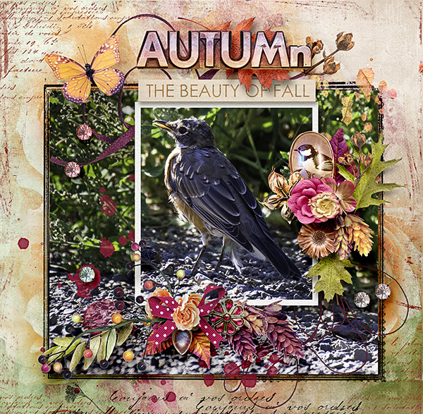 Beauty of Fall