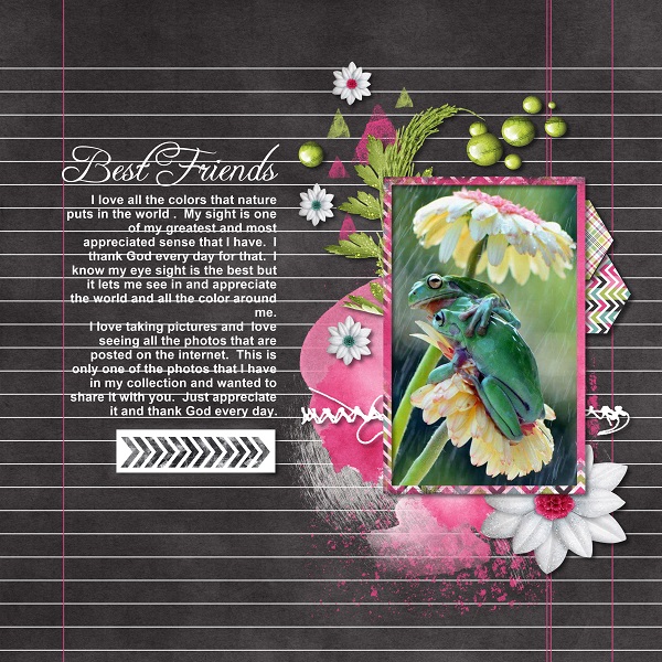Best Friends  Monthly Mojo