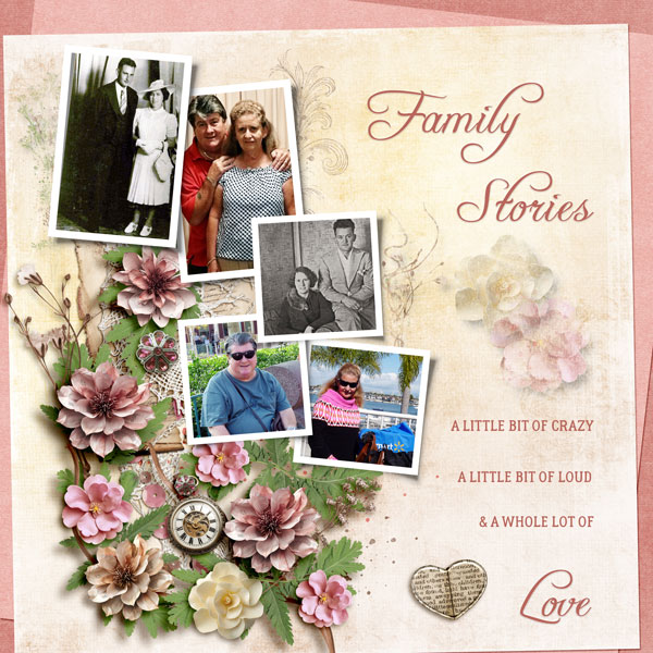 BINGO-SCRAP-STYLE-C---BOOK-COVER---FAMILY-STORIES.jpg