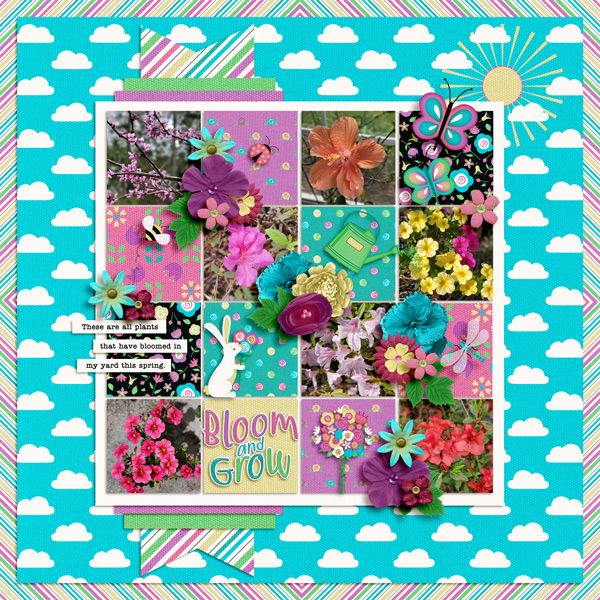 Bloom-&-Grow.jpg