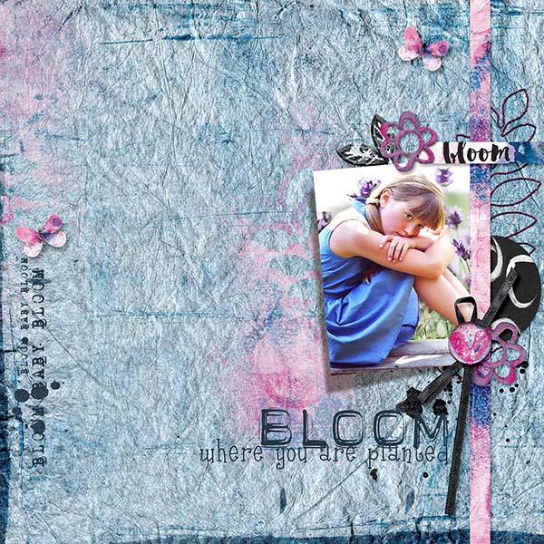 Bloom - Nov UIA Challenge