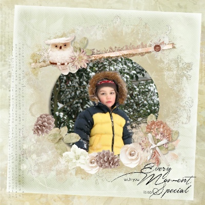 Booland Dsigns-Winter Woodland