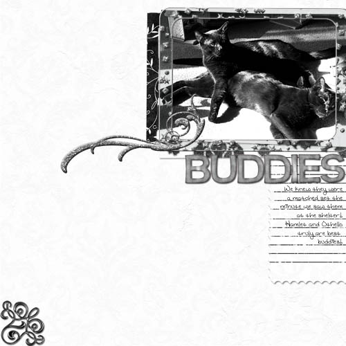Buddies
