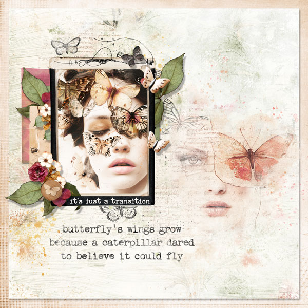 butterfly-moments.jpg