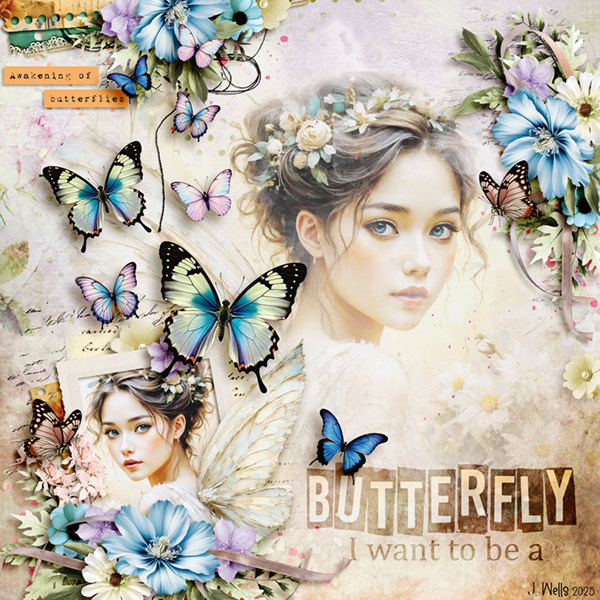 butterfly