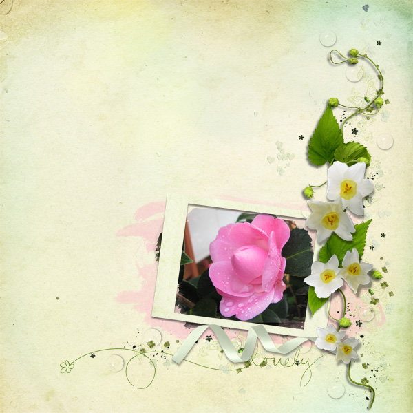 Camellia