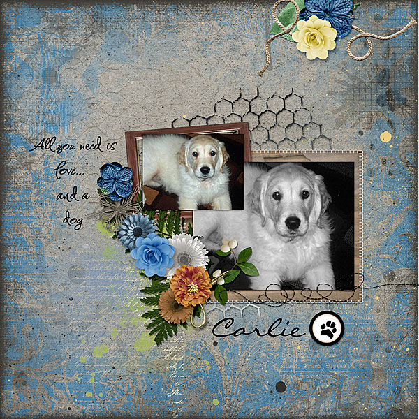 Carlie