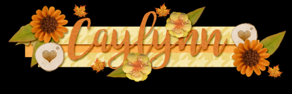 Caylynn September 2016 Signature