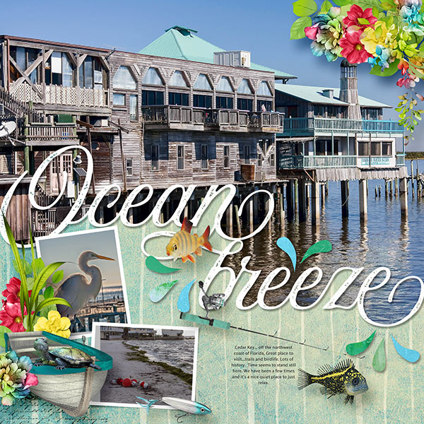 Cedar Key