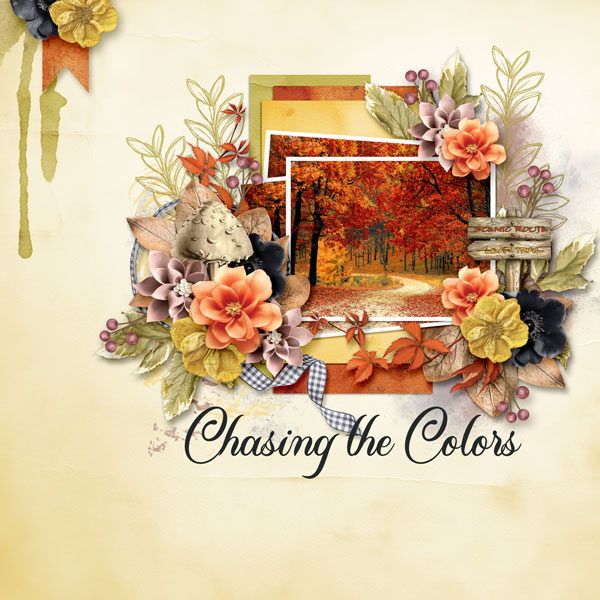 Chasing The Colors