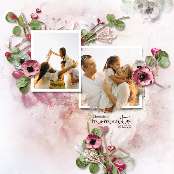 Cherished Moments of Love