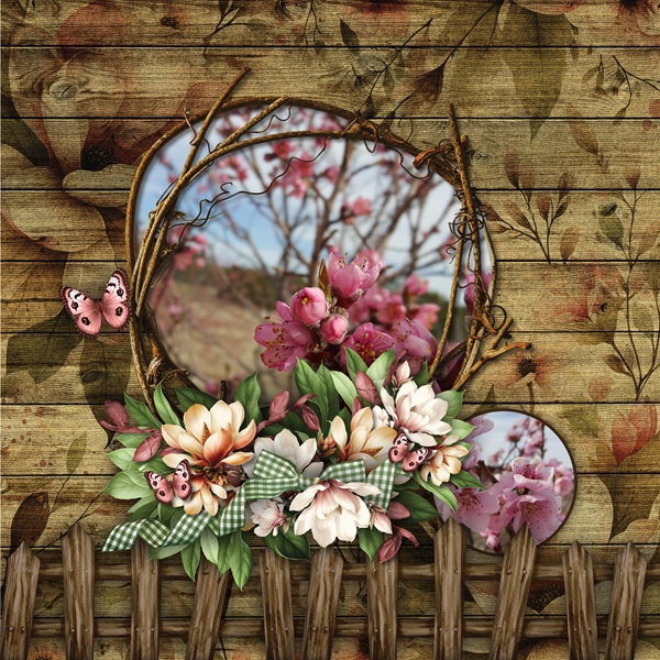 Cherry Blossoms.jpg