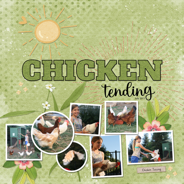 Chicken Tending
