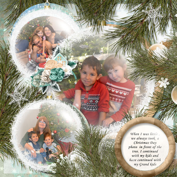 Christmas Tree Photos