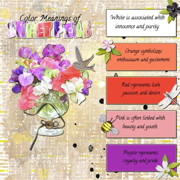 Color Meanings Of SweetPeas