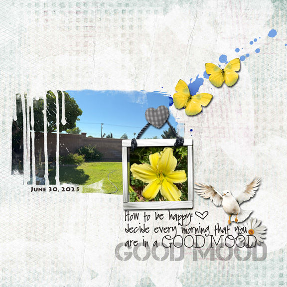 Comp Mystry Box 8x8 72.jpg