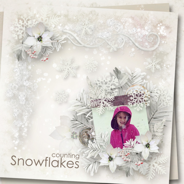 Counting Snowflakes