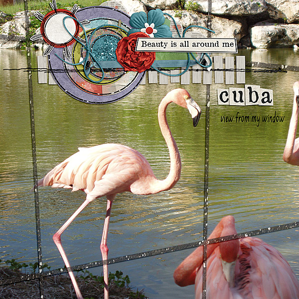 Cuba, Outside my Window