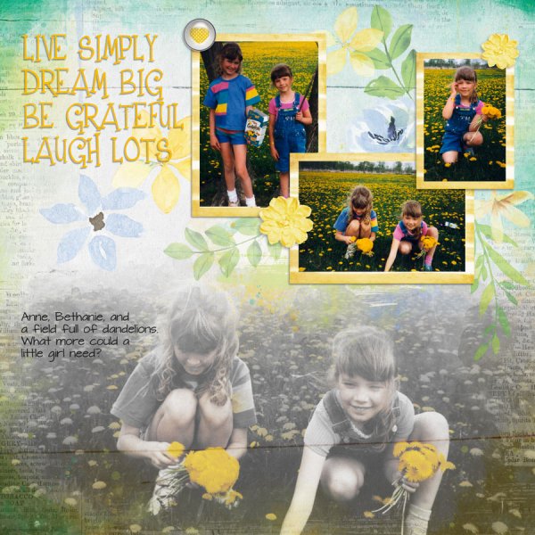 Dandelions