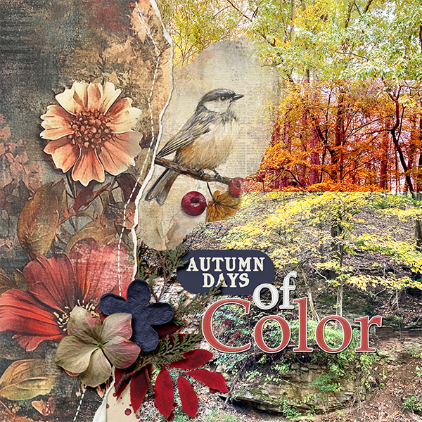 Days Of Color