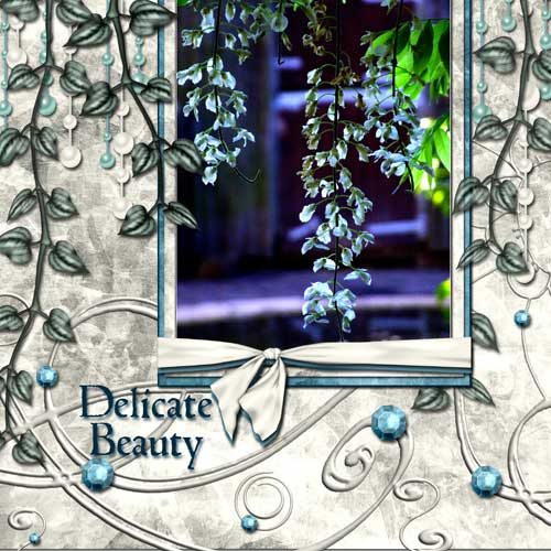 Delicate Beauty